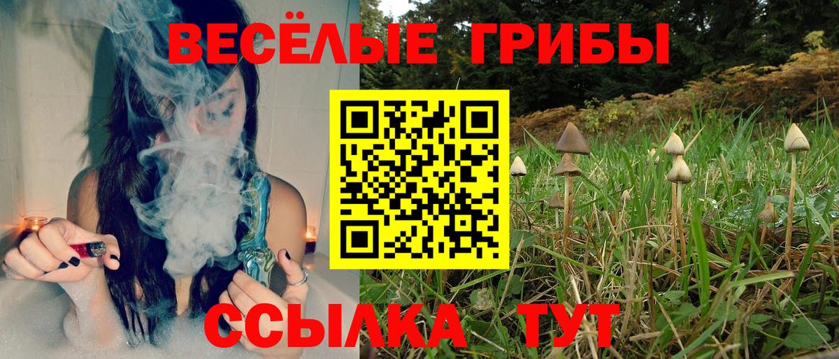 Псилоцибиновые грибы прущие грибы  Вход с VPN  наркотики  Бийск 