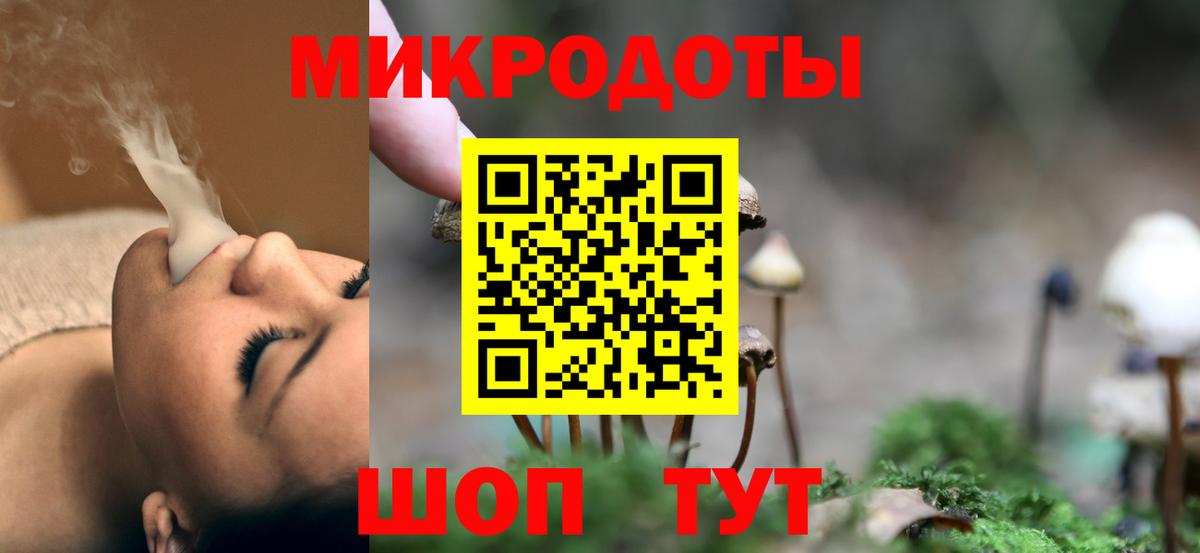Галлюциногенные грибы Psilocybe Бийск